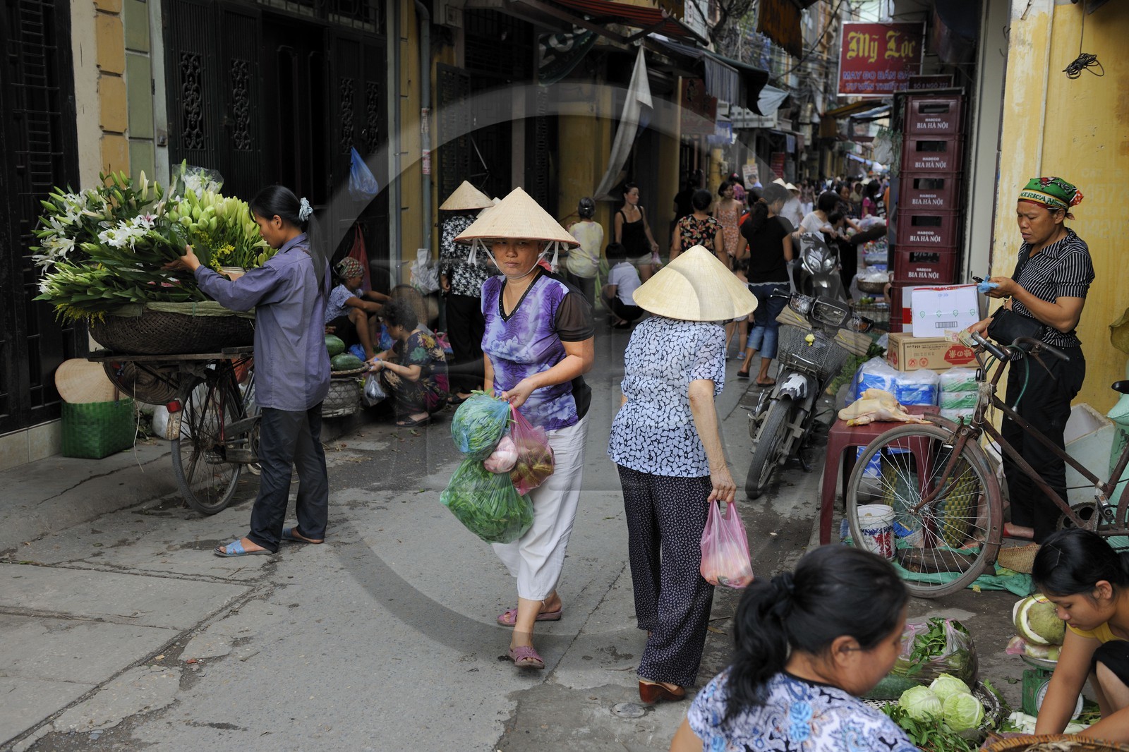 Vietnam, Hanoï, quartier Le Duan dans la vieille ville, rue commerçante