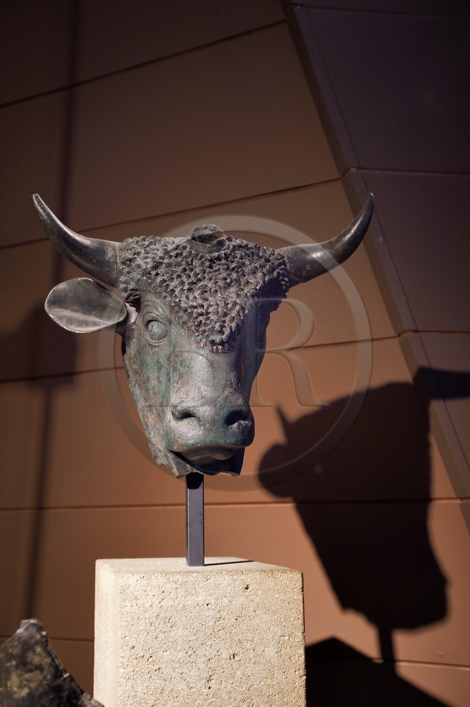 Suisse, canton du Valais, Martigny, Fondation Pierre Gianadda, Musée gallo-romain, tête d'un taureau en bronze tricorne, animal sacré de la mythologie gauloise, trouvé dans les fouilles du forum de Martigny