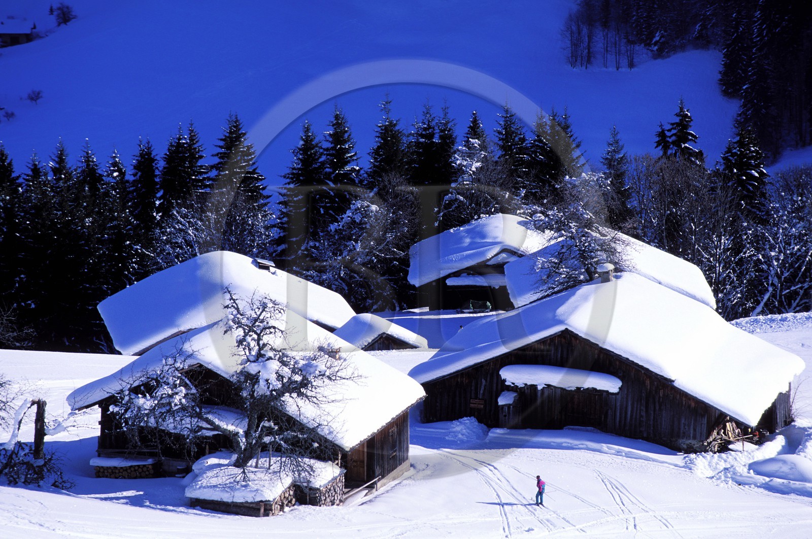 France, Haute-Savoie (74), domaine des portes du soleil, domaine skiable de Morzine