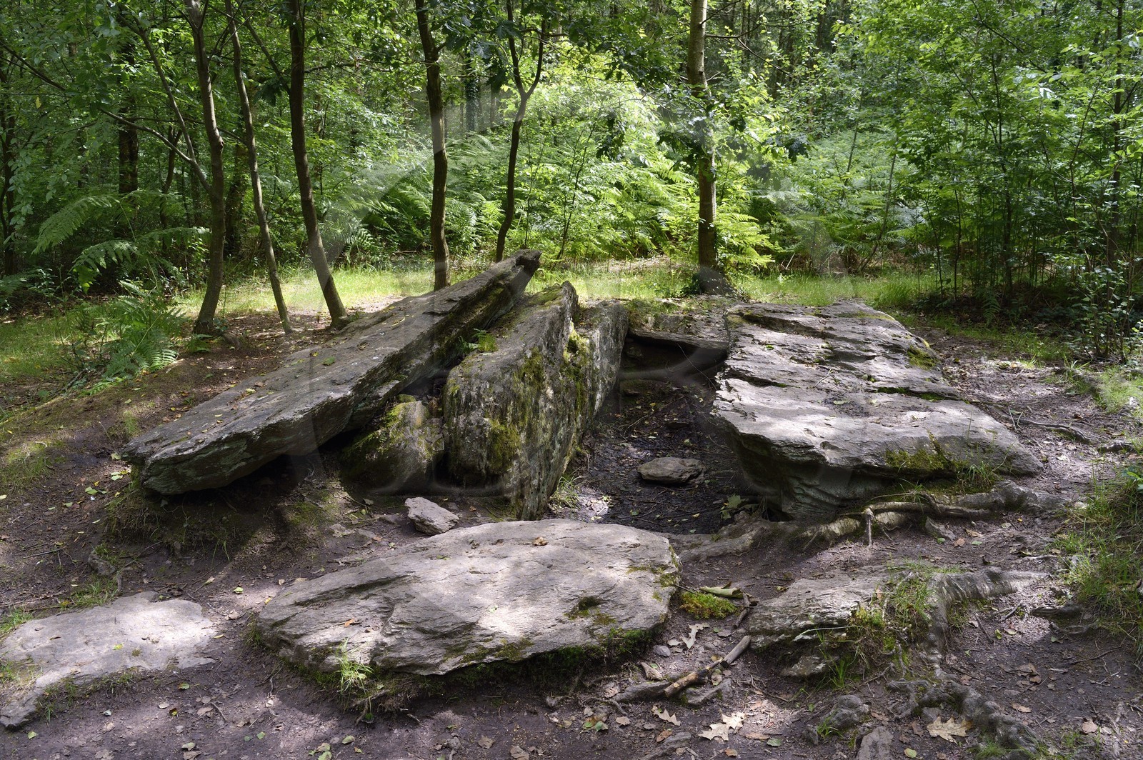 France, Morbihan, forest of Broceliande, megalithic monument of the Bronze Age called the Tomb of the Giants