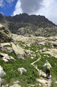 France, Alpes-Maritimes, parc national du Mercantour (Mercantour National Park), Valmasque valley, hiker on the trail crossing the ice bolt