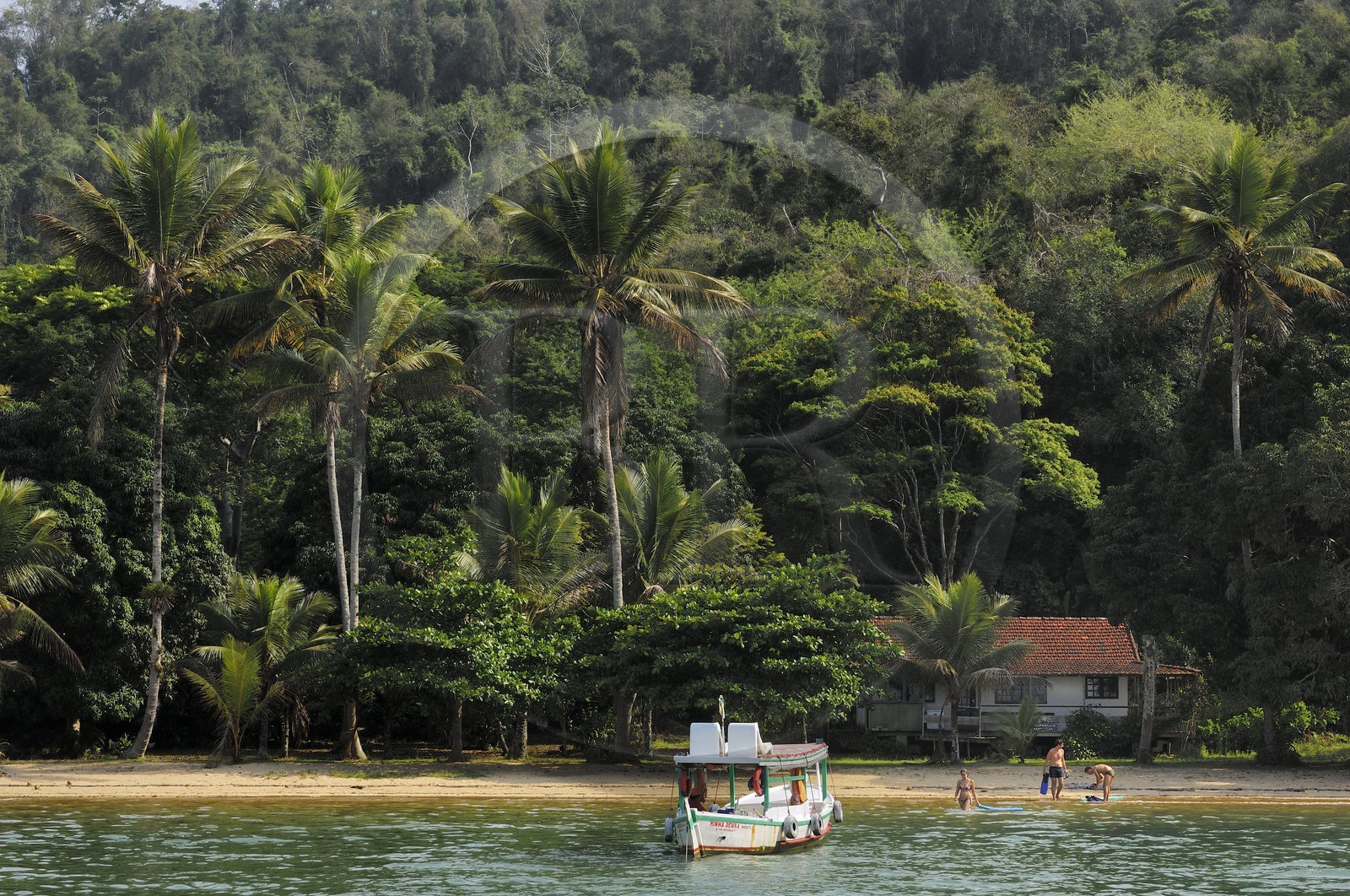 Brésil, Etat de Rio de Janeiro, plage dans la baie de Paraty
