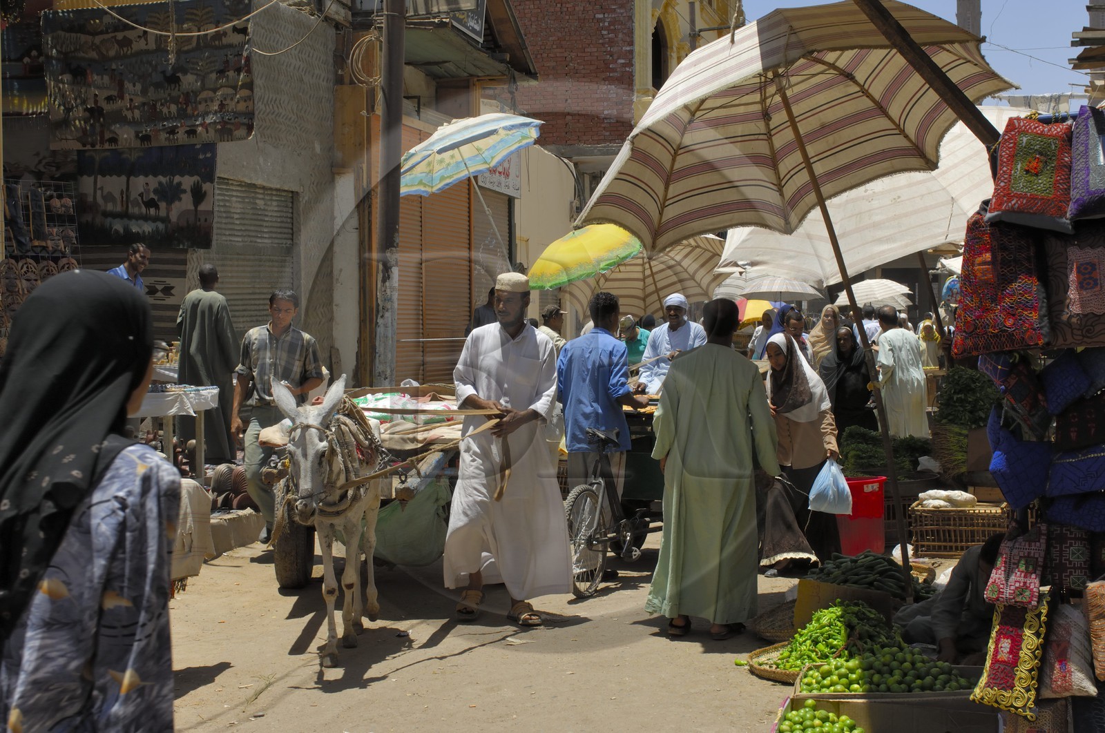Egypt, Haute Egypte, Nubie, vallée du Nil, Aswan, the souk