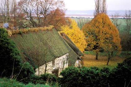 France, Eure, Marais (marsh) Vernier, traditional thatched roof house