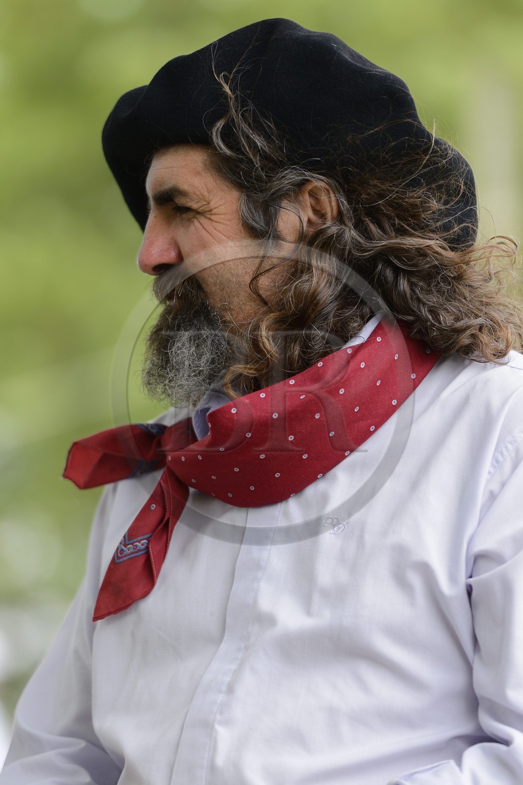 Argentina, Buenos Aires Province, San Antonio de Areco, Tradition Day festival (Dia de Tradicion), gaucho