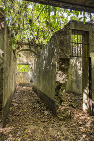 France, Guyane, Kourou, Iles du Salut, l'Ile Saint-Joseph, ruine du bagne consacré à la réclusion des prisonniers les plus difficiles