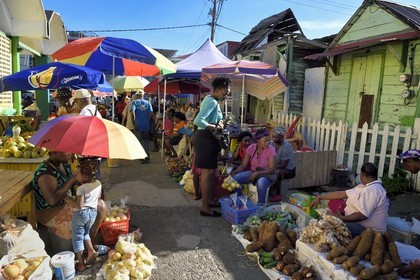 Caribbean, Dominica Island, the capital city Roseau, fruit and vegetable stall sales near the central market