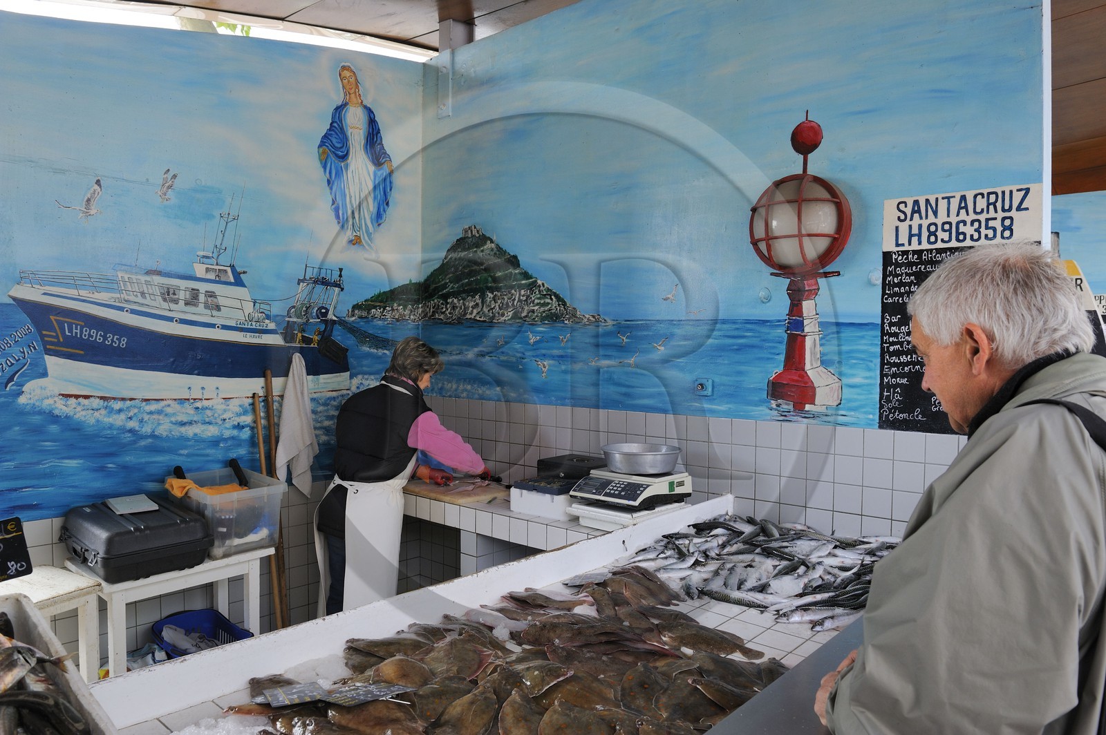 France, Seine-Maritime (76), Le Havre, port de pêche, marché aux poissons pratiquant la vente directe