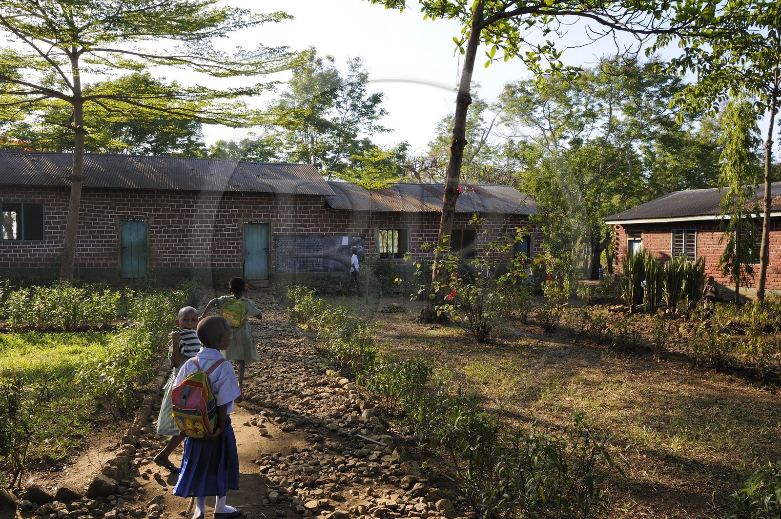 Tanzanie, région de Morogoro, les Monts Uluguru, école primaire du village de Kiroka