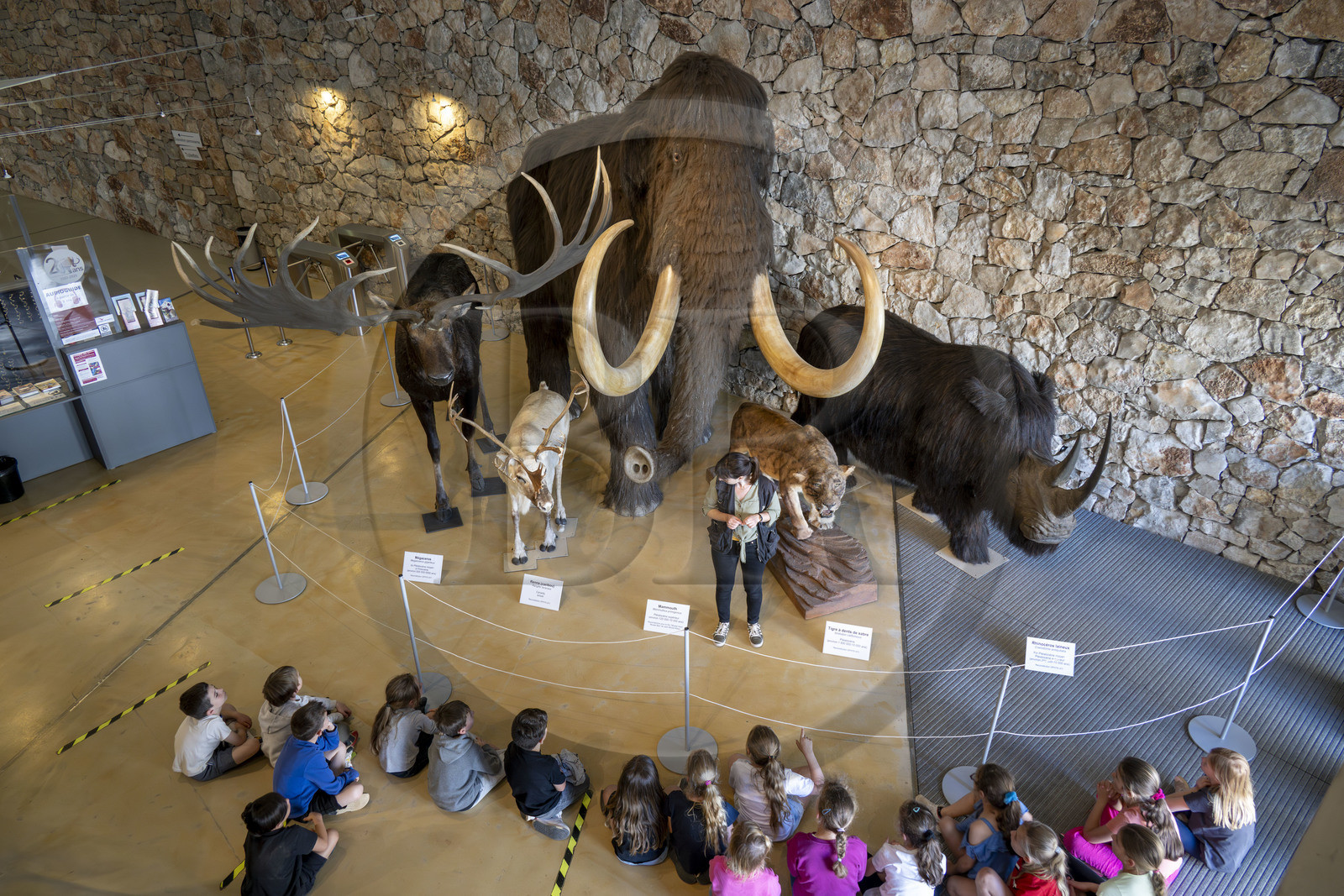 France, Alpes-de-Haute-Provence (04), Parc Naturel Régional du Verdon, Quinson, Musée de préhistoire des Gorges du Verdon conçu par l'architecte Norman Foster, tigre à dent de sabre, mammouth, renne, mégaceros