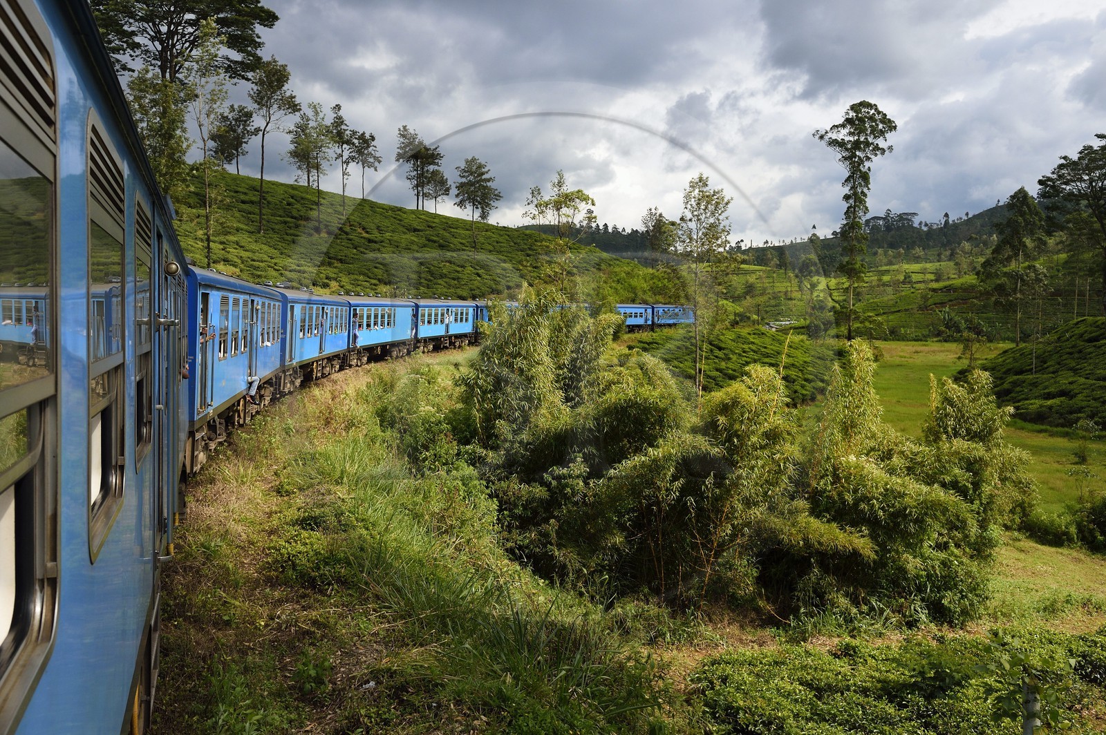 Sri Lanka, Central Province, the popular scenic train ride through the tea growing hill country between Hatton and Badulla, here batween Rotagala and Talawakele