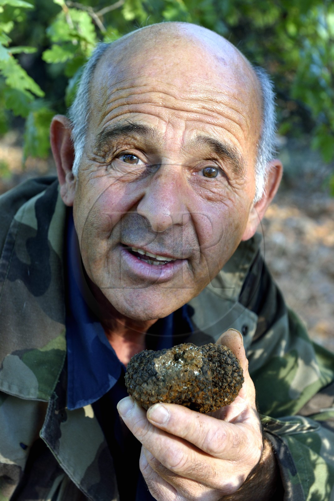 France, Var, Bauduen, Domaine du Hameau des Clos, the truffle grower Marcel Demaria and summer truffle (Tuber aestivum)