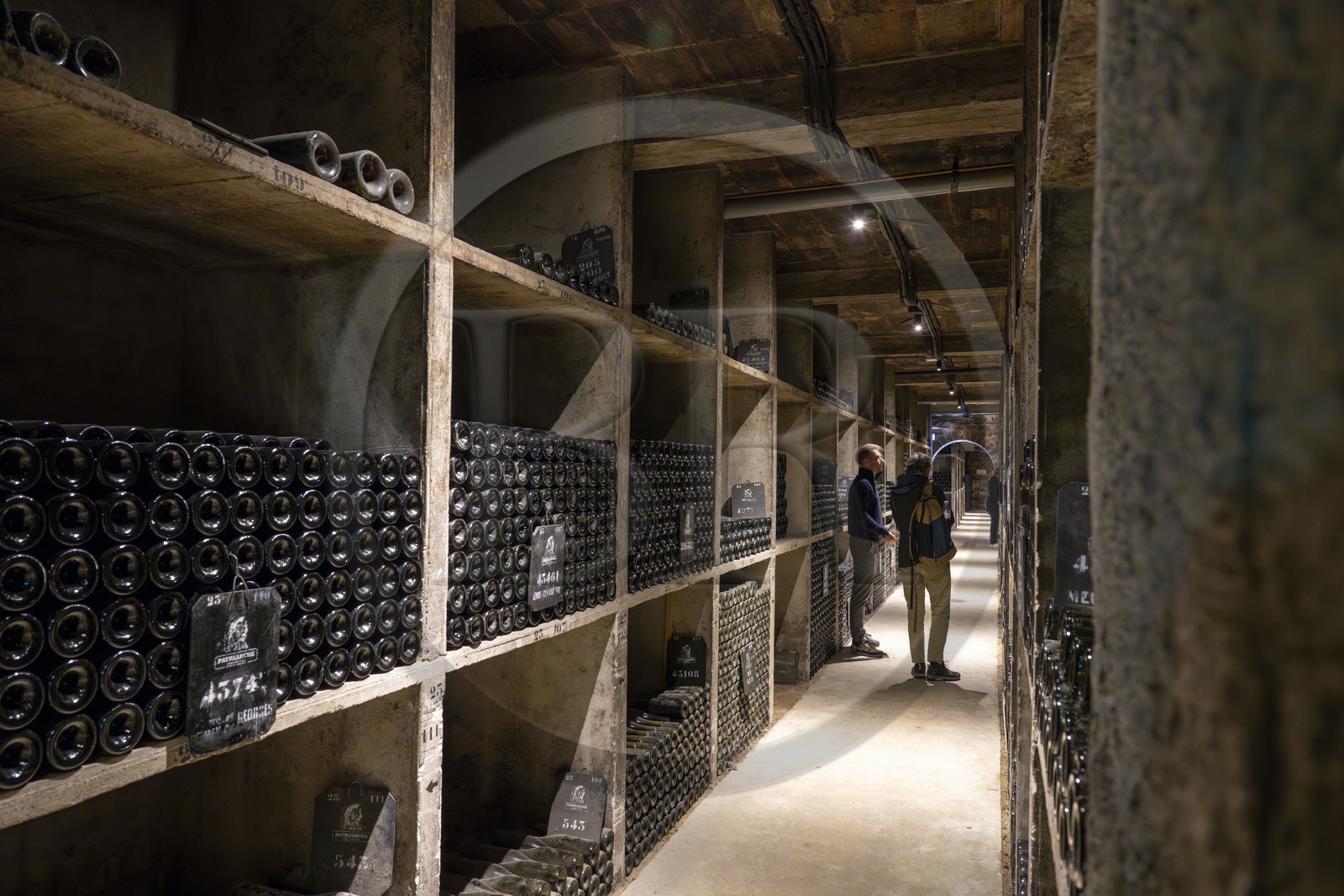 France, Côte-d'Or (21), les climats de Bourgogne classés Patrimoine Mondial de l'UNESCO, Beaune, les caves de la Maison Patriarche, société viticole de négociant-éleveur