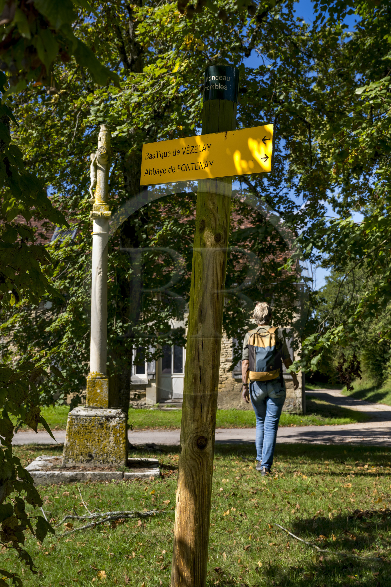 France, Côte-d'Or (21), Corrombles, randonneuse passant devant le panneau du GR 213 de Vézelay à l'Abbaye de Fontenay