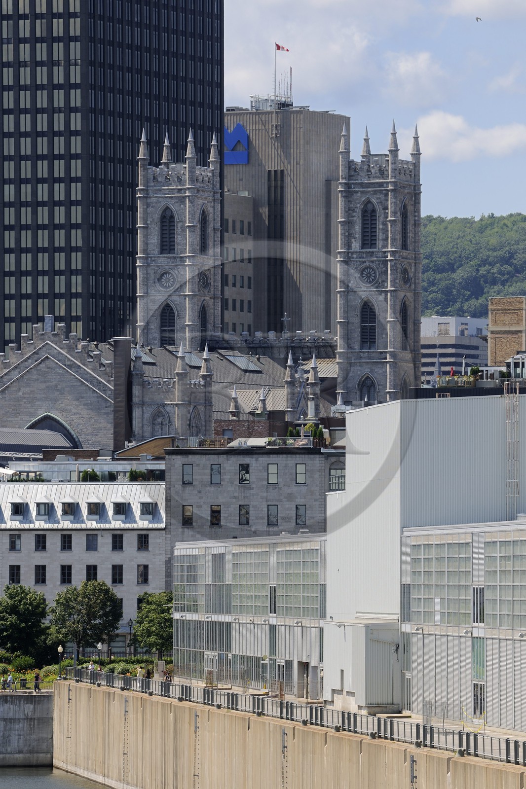 Canada, province de Québec, Montréal, quartier du Vieux-Montréal, le Vieux-Port, basilique Notre-Dame de Montréal