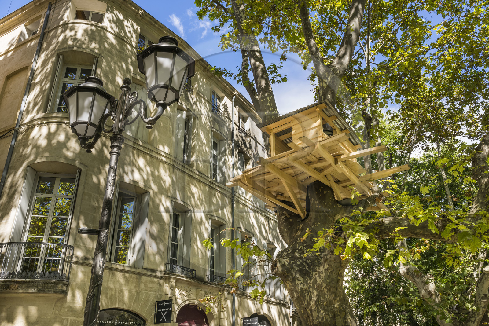 France, Hérault (34), Montpellier, centre historique appelé l’Ecusson, place du Canourgue, cabanes perchées dans les arbres, Tree Huts in Montpellier sculpture de l'artiste Tadashi KAWAMATA pour la Fondation d’entreprise GGL