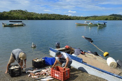 Panama, province de Chiriqui, le petit port de Boca Chica