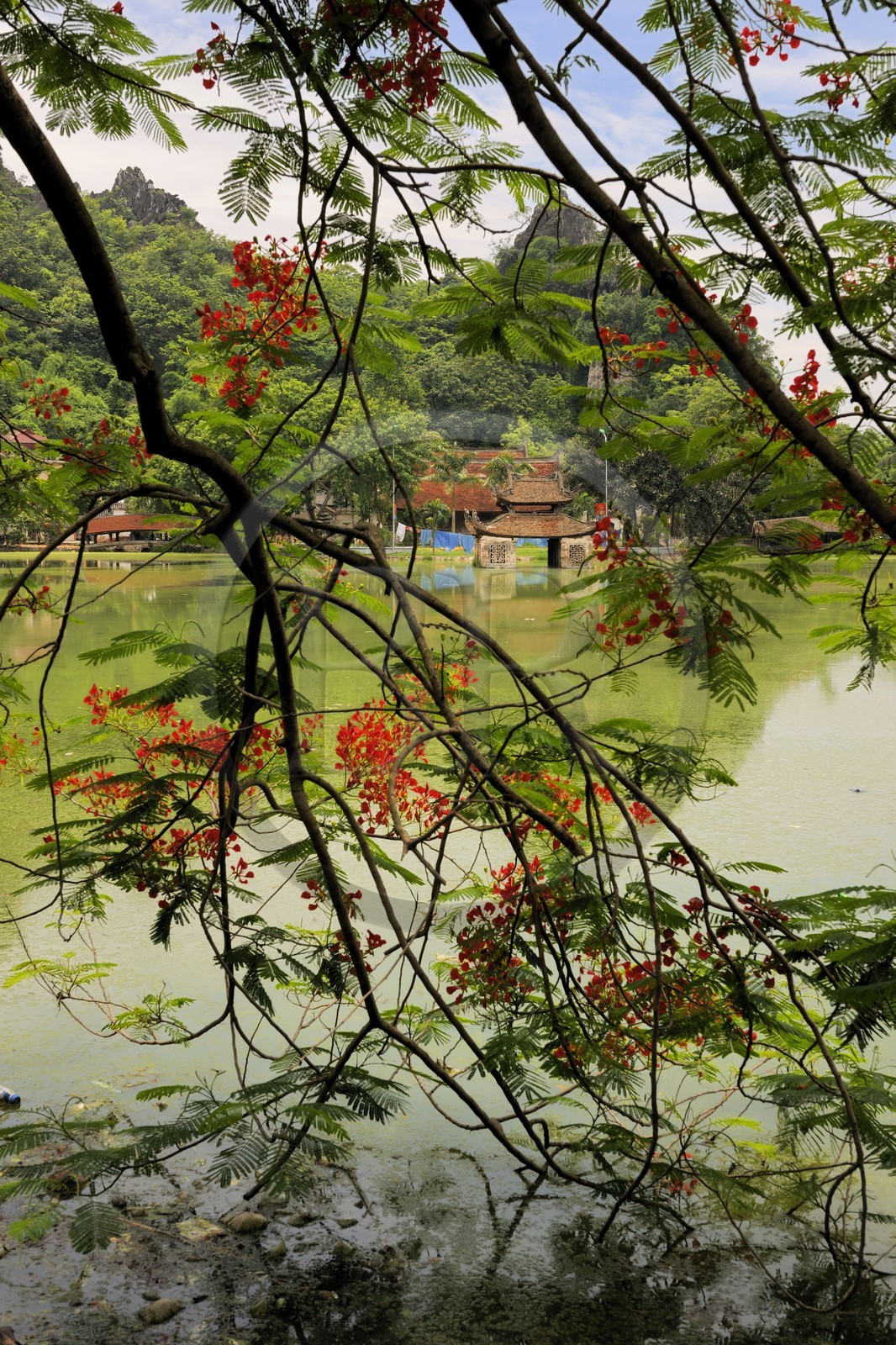 Vietnam, Ha Tay province, Thay pagoda