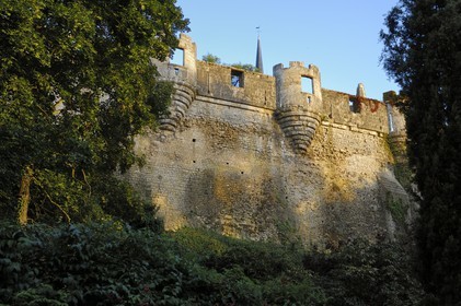France, Maine et Loire (49), château de Montreuil-Bellay