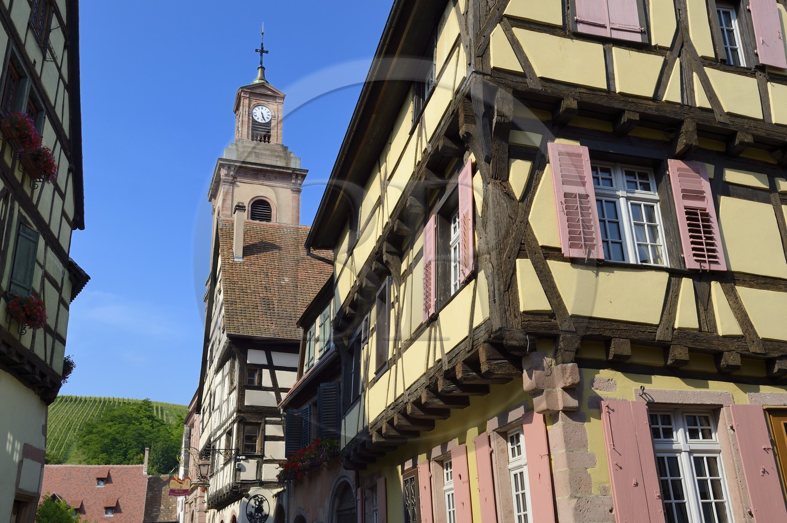 France, Haut Rhin, Riquewihr, labelled Les Plus Beaux Villages de France (The Most Beautiful Villages of France), half-timbered houses and former Notre Dame Church