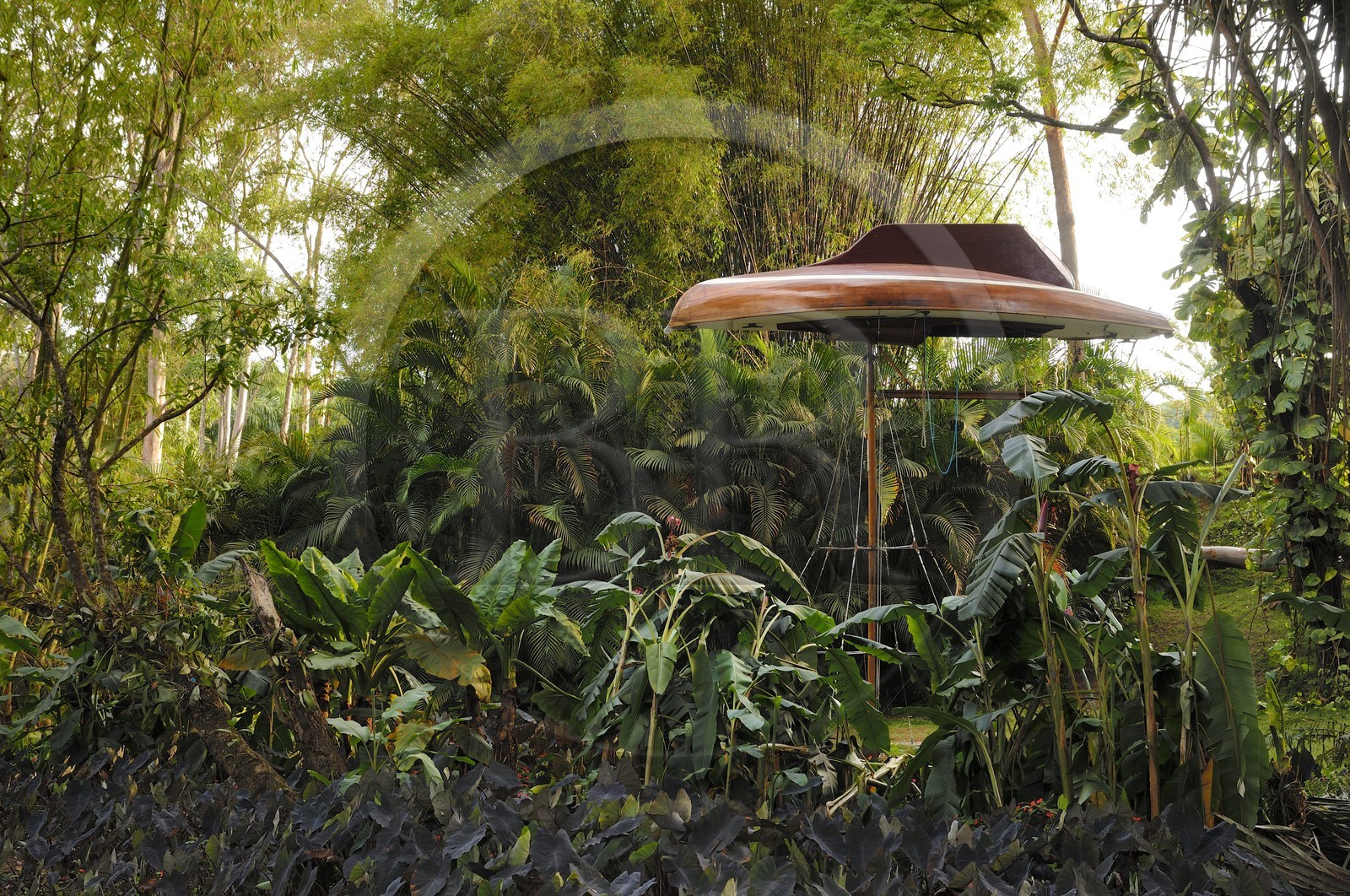 Brésil, Etat du Minas Gerais, région de Belo Horizonte, Brumadinho, centre d'art contemporain Inhotim, The Mahogany Pavilion (Mobile Architecture N°1) (2004) de Simon Starling