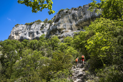 France, Vaucluse, Mont Ventoux Regional Natural Park, Monieux, Gorges de La Nesque, hikers climbing a steep path towards the heights above the rocky bars