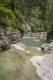France, Drôme (26), parc naturel régional des Baronnies provençales, les gorges d'Aulan qui longent le Toulourenc
