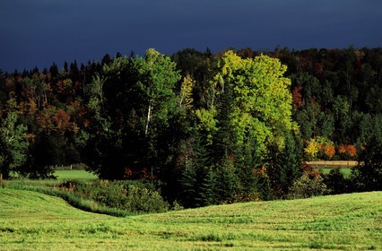 Canada, province de Québec, Saguenay, campagne dans la région de Sacré-Coeur