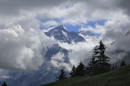Suisse, Canton de Berne, Oberland Bernois, Grindelwald, montagne du Wetterhorn (3701 m)