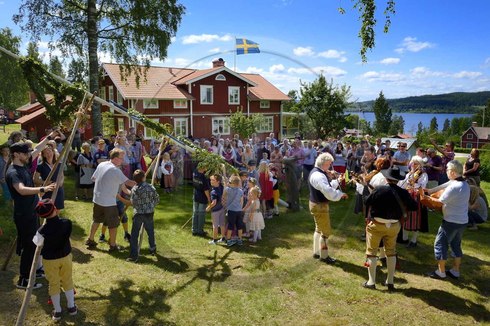 Suède, comté de Dalécarlie, région de Leksand, célébrations du solstice d'été dans le petit hameau de Sunnanäng sur la rive du lac Siljan, levée du mât de l'arbre de mai
