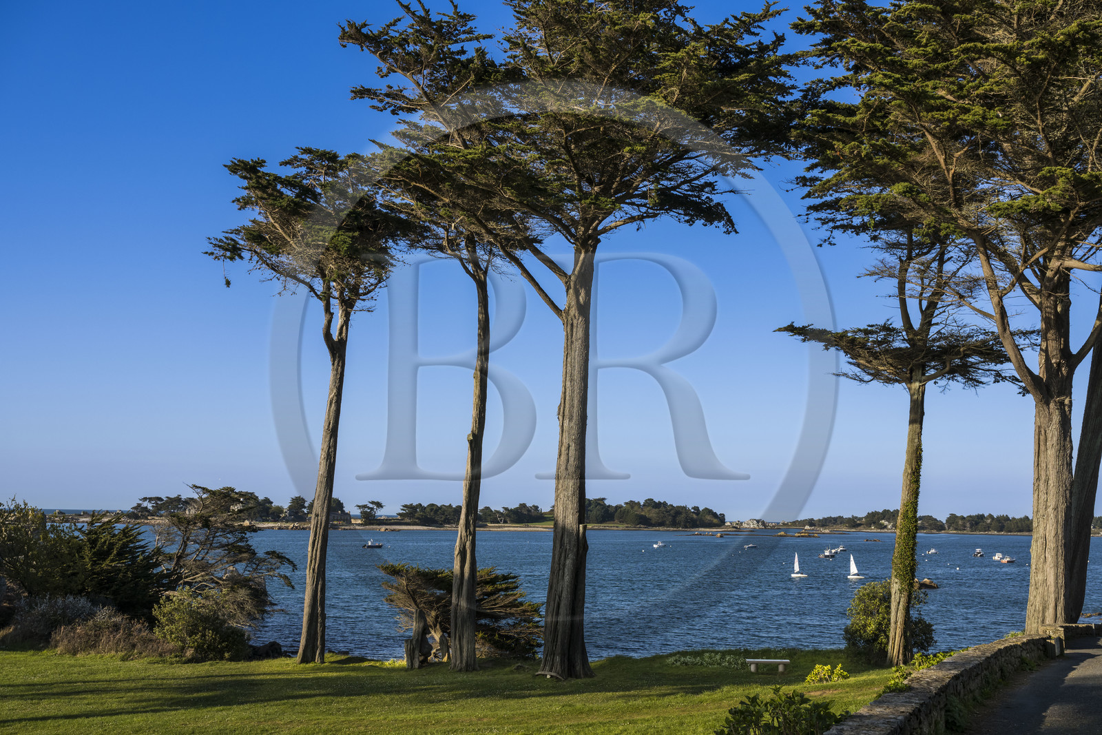 France, Cotes-d'Armor, Cote d'Ajoncs, Penvénan, Port Blanc,