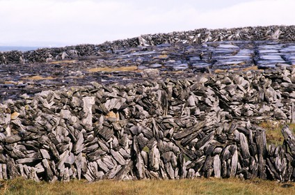 Irlande, Comté de Galway, îles d' Aran, l' île Inishmore, murs de pierre