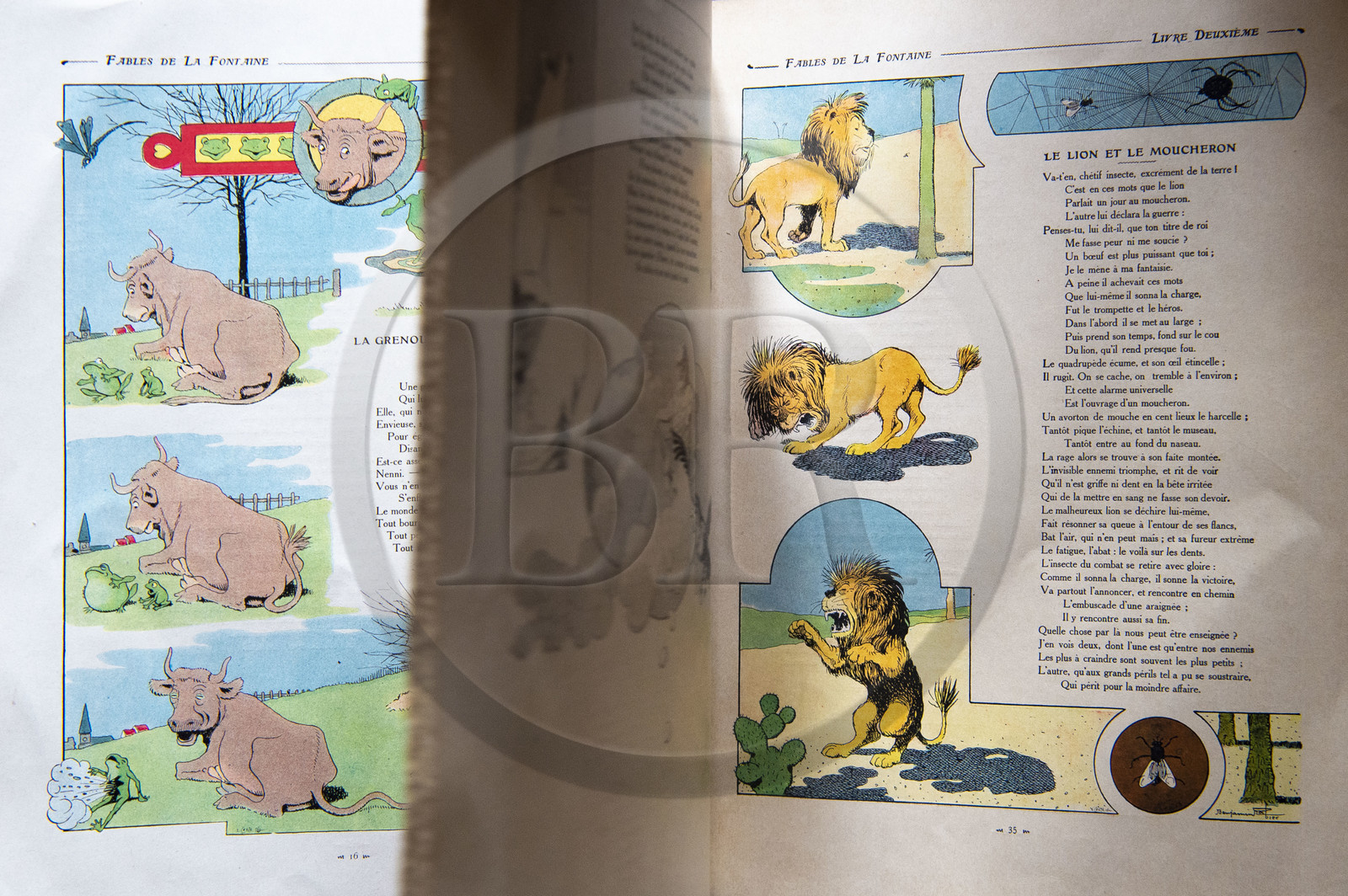 France, Aisne, Château-Thierry, Jean de La Fontaine Museum - city of Chateau-Thierry,  La Fontaine's Fables book illustrated by Benjamin Rabier, Edition Jules Tallandier, 1906, in-folio, The Frog that wished to be as big as the Ox fable III of book I and the Lion and the Midge fable IX of book II