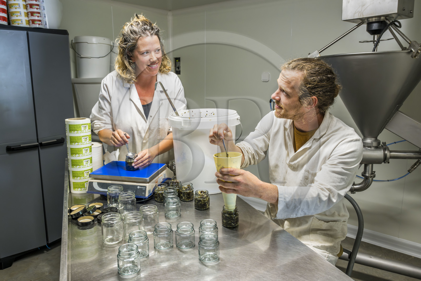 France, Finistère (29), Pays Bigouden, Plozévet, Lucie Mandon et Lenny Gouedic co créateurs de Begood Alg, broyage et tamisage manuel avant conditionnement et fabrication de tartares d'algues et condiments dans leur atelier