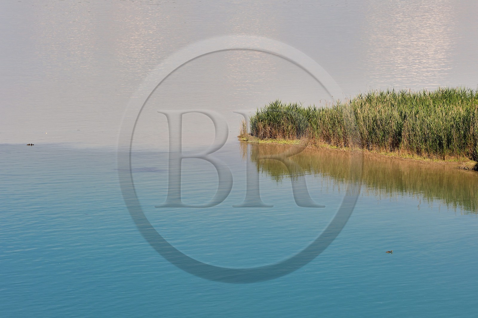 France, Bouches-du-Rhône (13), Saint-Paul-lez-Durance, la confluence du Verdon (eaux bleues) et de la Durance (eaux brunes) sur les terres du Chateau de Cadarache France, Bouches-du-Rhone, Saint-Paul-lez-Durance, the confluence of the Verdon (blue waters) and the Durance (brown waters) at the Chateau de Cadarache