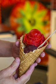 France, Loire-Atlantique (44), le célèbre glacier La Fraiseraie