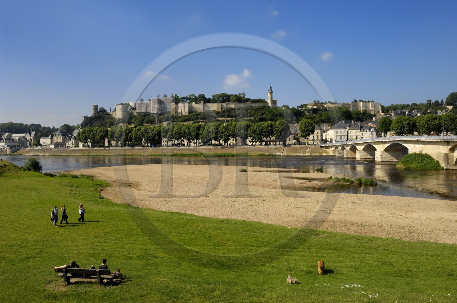 France, Indre et Loire, Loire Valley listed as World Heritage by UNESCO, Chinon, view of the city and castle from South Vienne river bank