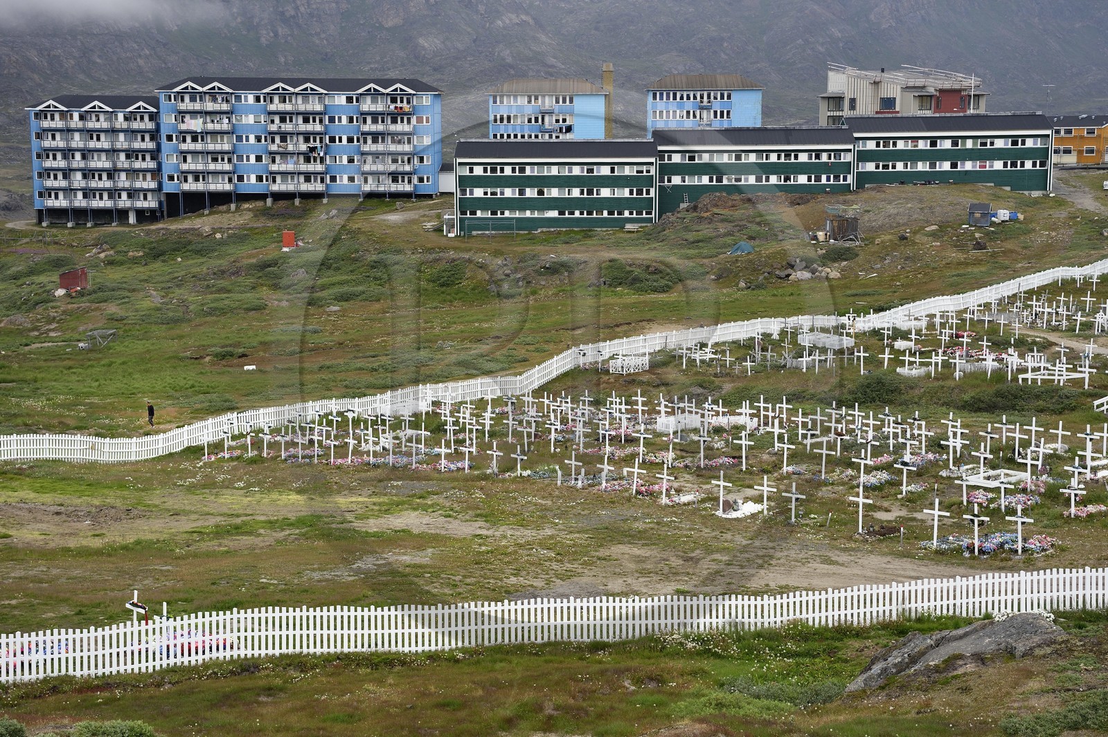 Groenland, région du centre ouest, Sisimiut (autrefois Holsteinsborg), le cimetière, les cercueils sont déposés en surface puis recouverts de pierres ou de ciment, le sol ne pouvant être creusé, les tombes sont ensuite décorées avec des fleurs artificielles, logement social en arrière-plan