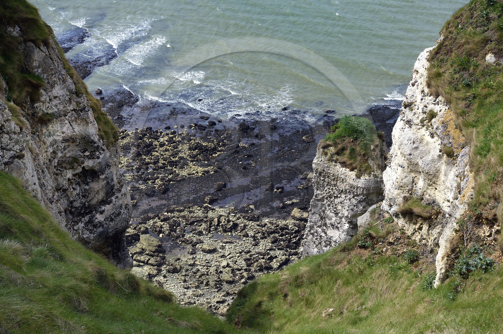 France, Seine-Maritime (76), Pays de Caux, Côte d'Albâtre, entre Etretat et Yport, la falaise vers Bénouville et la plage à marée basse