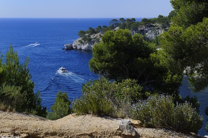 France, Bouches du Rhone, Cassis, Port Miou creek (calanque)