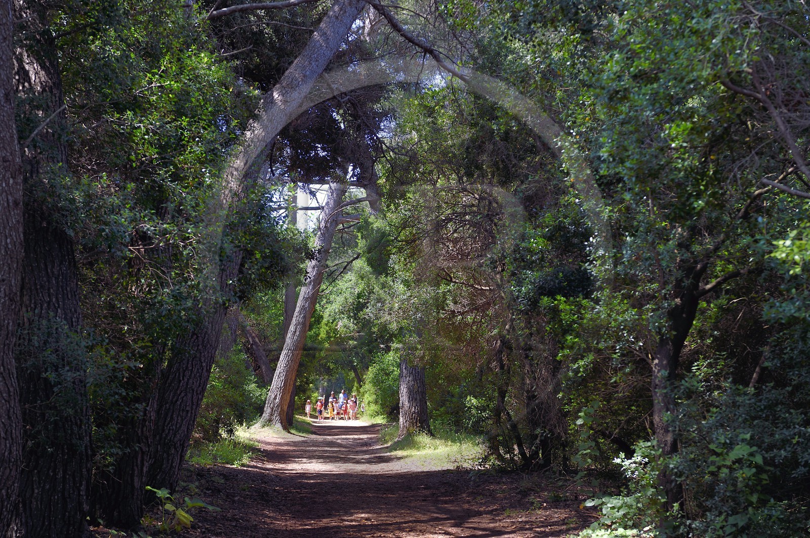France, Alpes-Maritimes (06), Cannes, Iles de Lérins, Ile Sainte-Marguerite