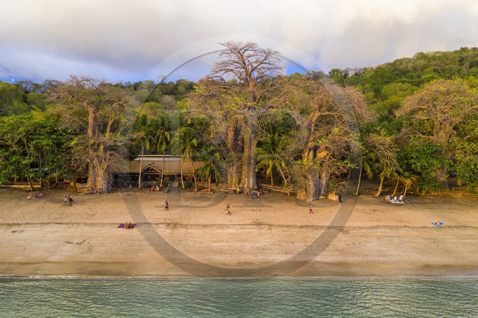 France, Ile de Mayotte, Grande-Terre, Kani-Keli, le Jardin Maoré, baobab (Adansonia digitata) sur la plage de N’Gouja (vue aérienne)