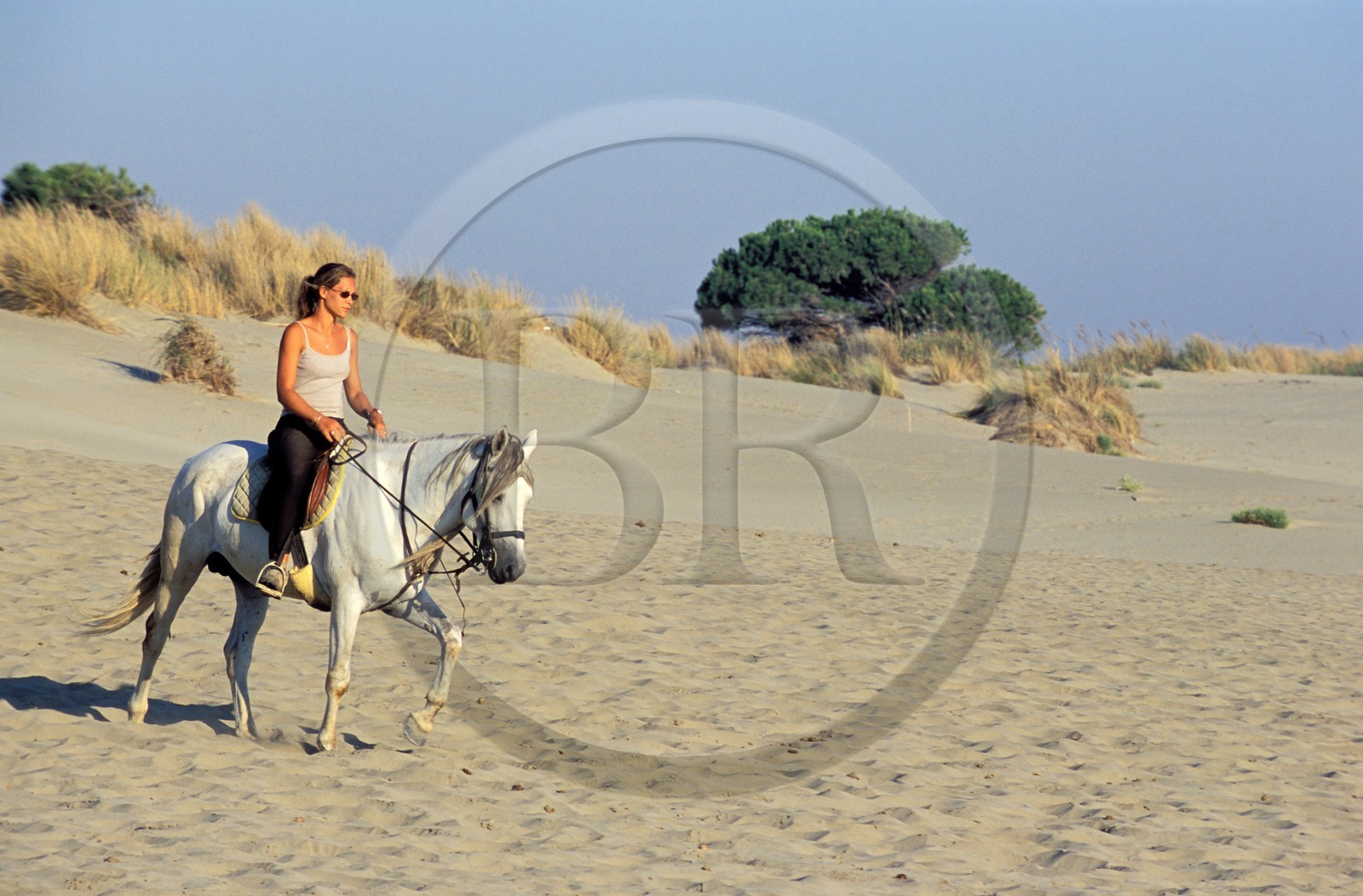 France, Gard (30), Port-Camargue, une cavalière sur la plage de l'Espiguette