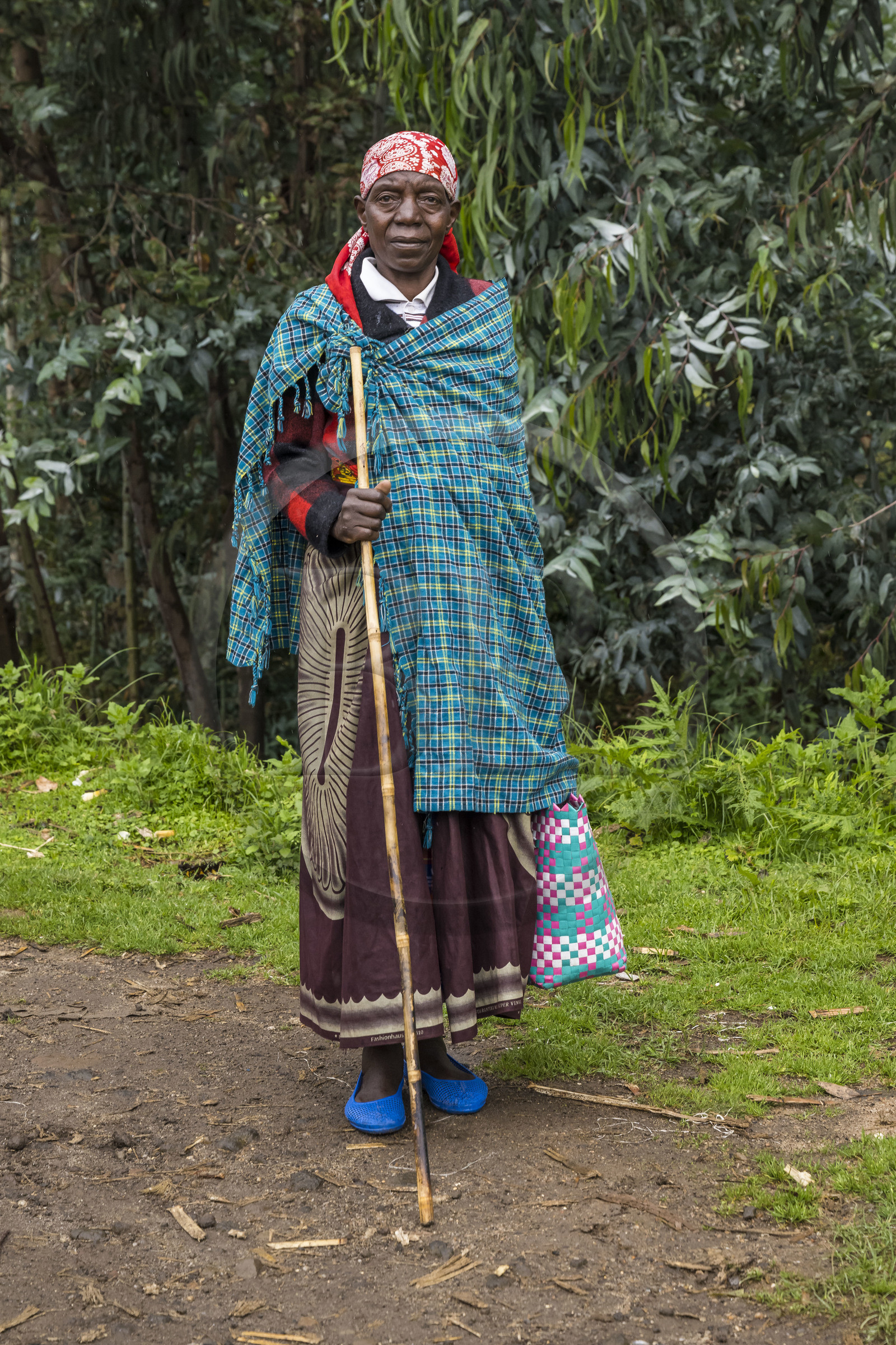 Rwanda, Province du Nord, District de Musanze (Ruhengeri), Busogo, paysanne sur les pentes du mont Karisimbi dans les montagnes des Virunga