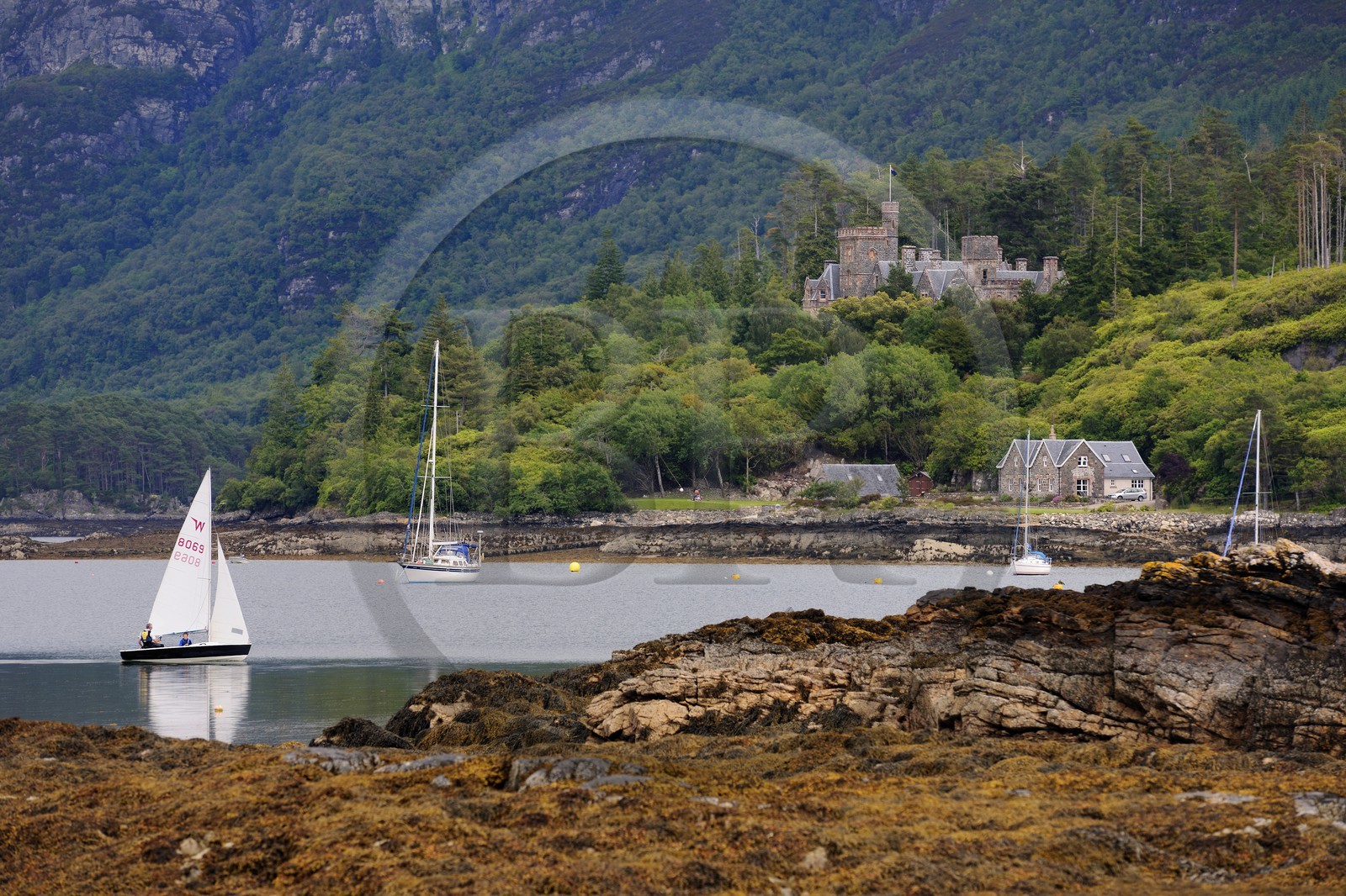 Royaume-Uni, Ecosse, Highland, Loch Carron, le village de Plockton et le chateau de Duncraig