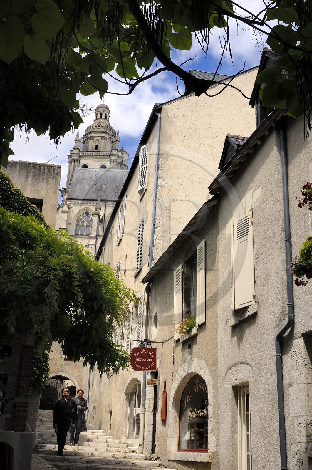 France, Loir et Cher (41), Blois, vieux quartier sous la cathédrale, rue du Grenier à Sel