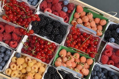 France, Alpes-Maritimes, Antibes, Frutti di bosco baskets