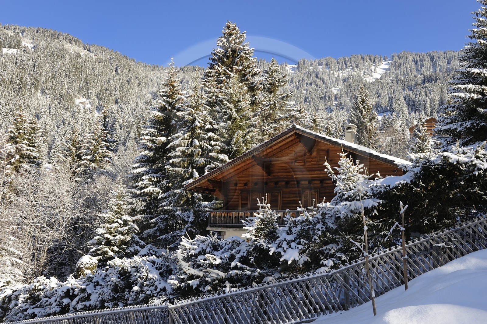 Switzerland, Canton of Vaud, Villars sur Ollon, chalet in the snow