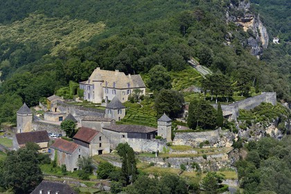 France, Dordogne (24), Périgord Noir, vallée de la Dordogne, Vézac, les jardins du château de Marqueyssac du XVIIIe siècle (vue aérienne)