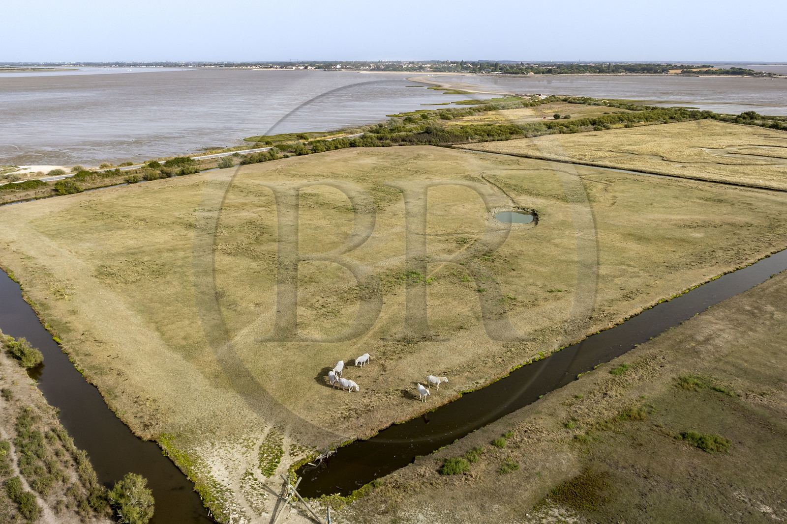France, Charente-Maritime (17), Port-des-Barques, l'Ile Madame et le tombolo de la Passe aux Boeufs qui la relie au continent en arrière plan (vue aérienne)